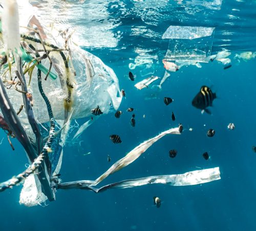 Plastic-Waste-Floating-in-the-Ocean-scaled
